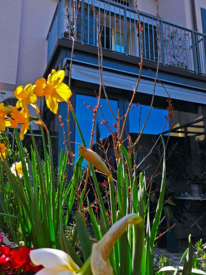 Fiorenzuola Bed & Breakfast Fiorenzuola di Focara エクステリア 写真